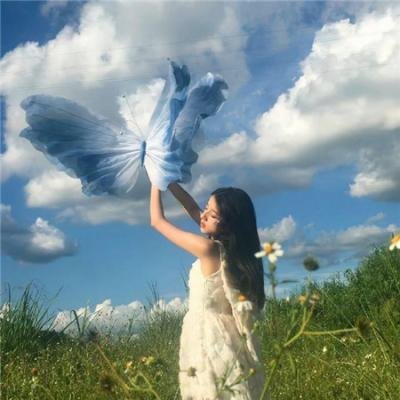 玫瑰绽放的年代