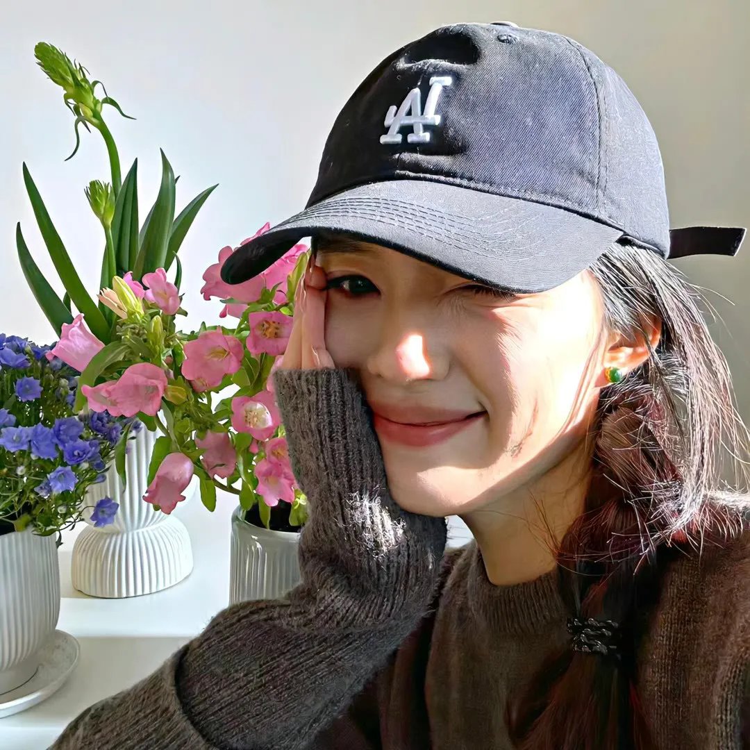 铁面无私海报